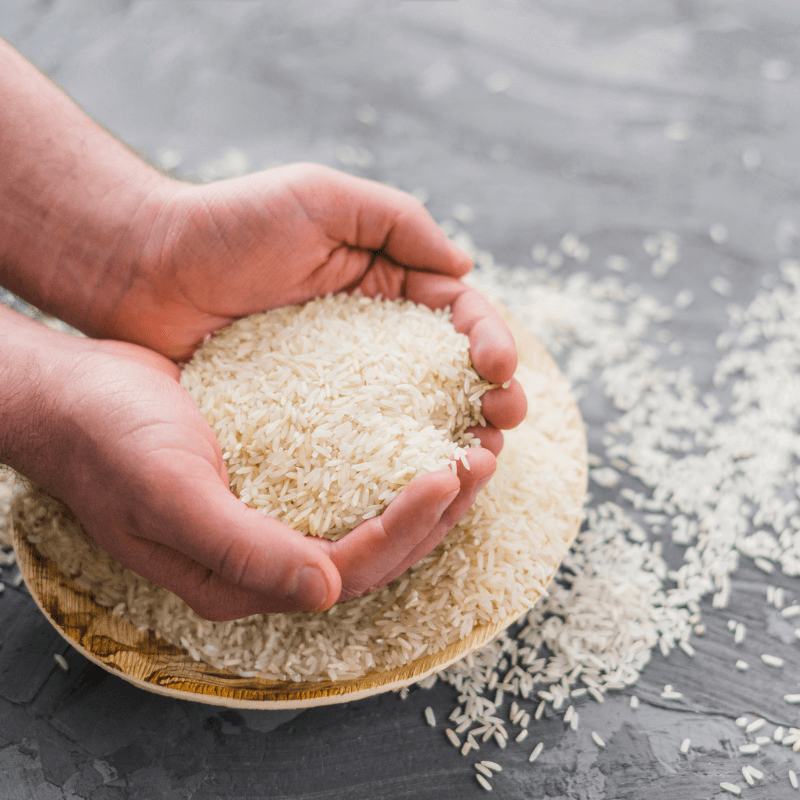Rice