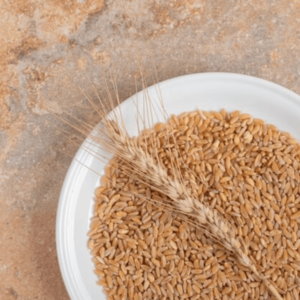 Wheat