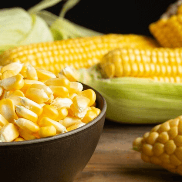Yellow Maize